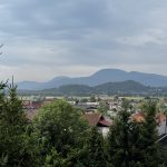 IMG_9237
